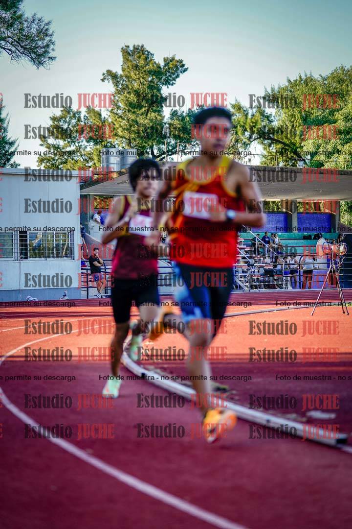 Fotos de los 800 m llanos de varones