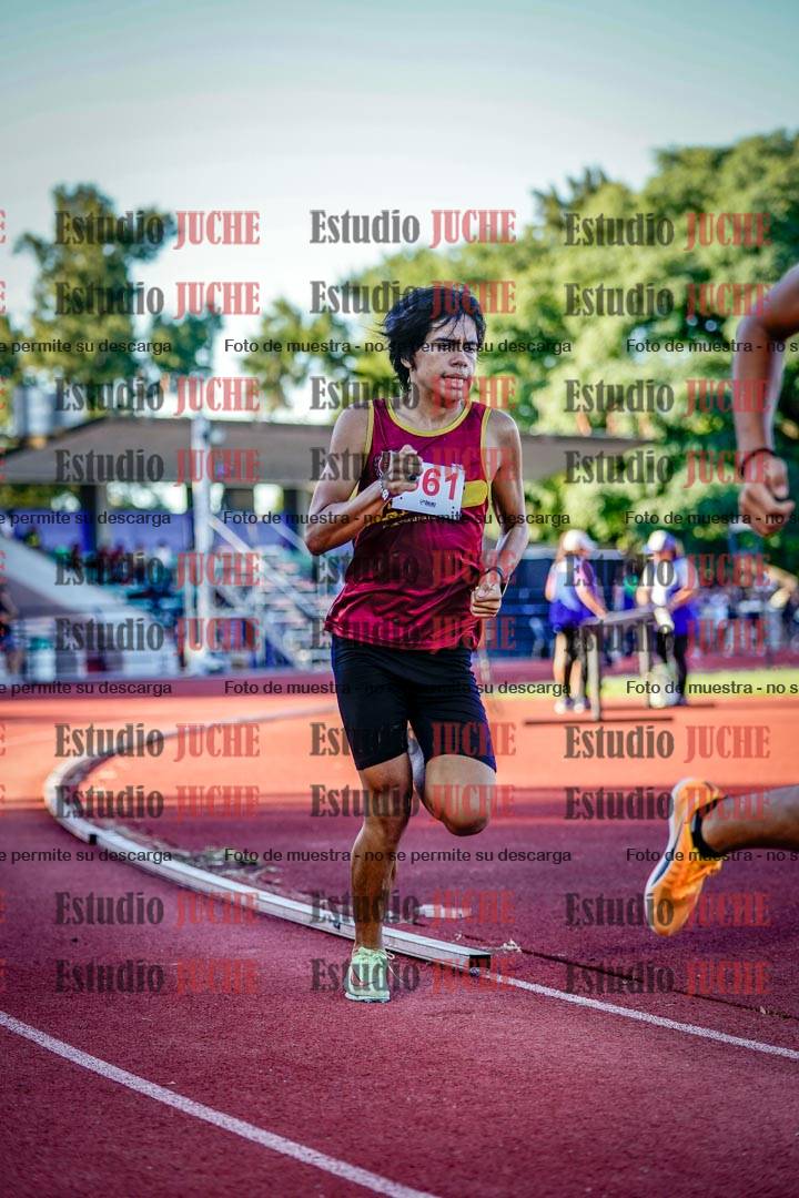Fotos de los 800 m llanos de varones