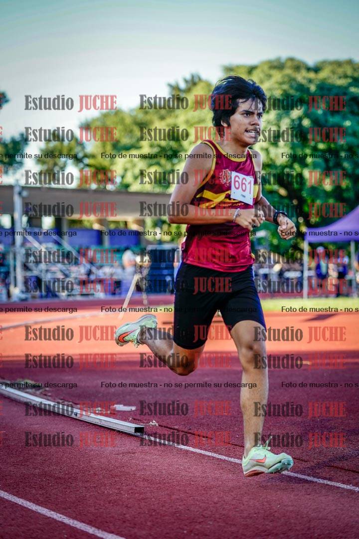 Fotos de los 800 m llanos de varones