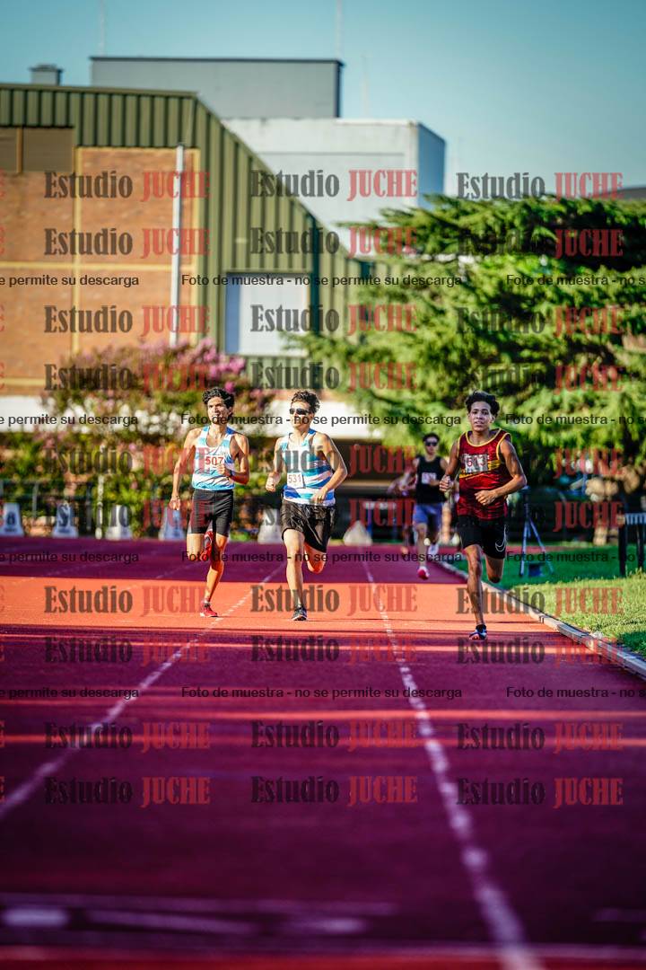 Fotos de los 800 m llanos de varones