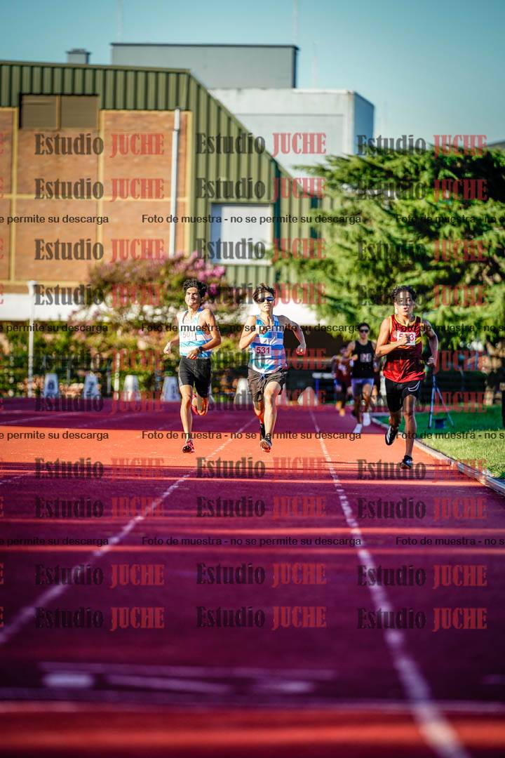 Fotos de los 800 m llanos de varones