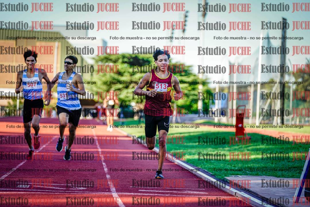 Fotos de los 800 m llanos de varones