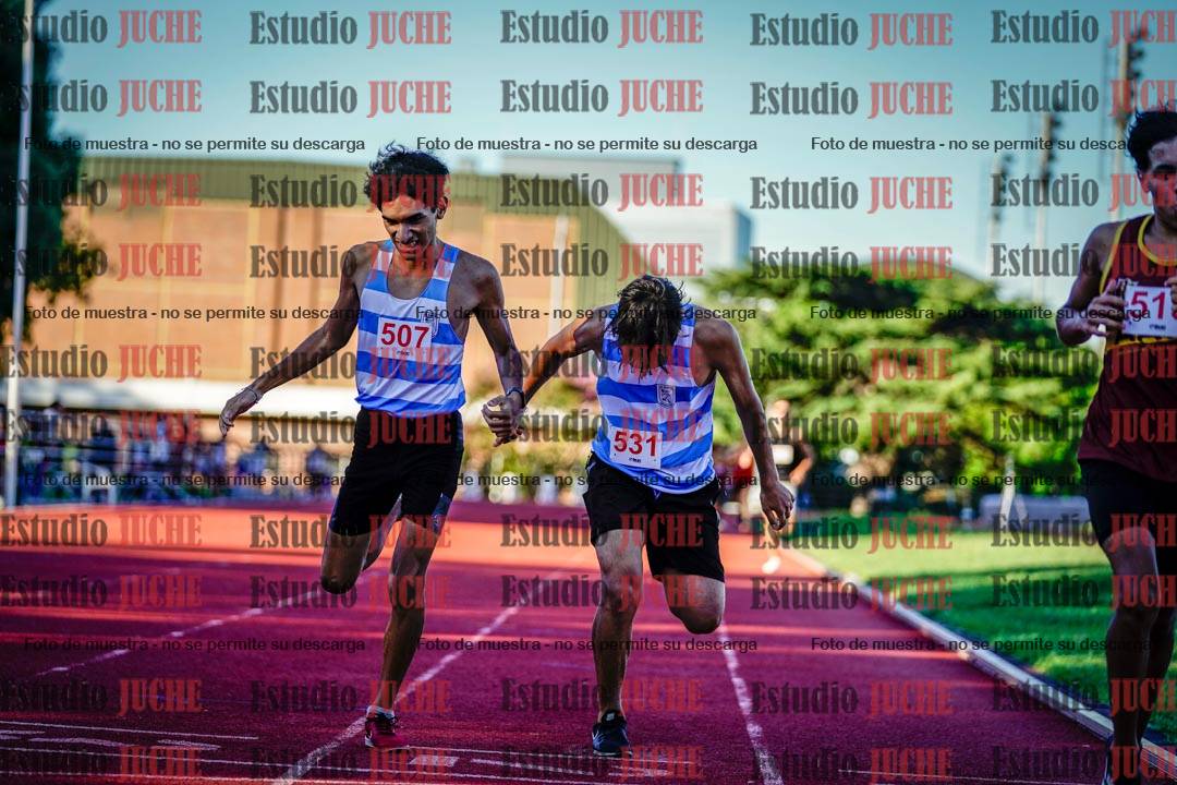 Fotos de los 800 m llanos de varones