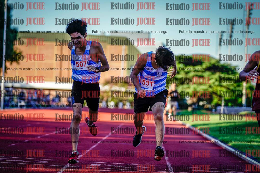 Fotos de los 800 m llanos de varones