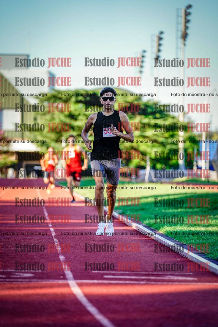 Fotos de los 800 m llanos de varones