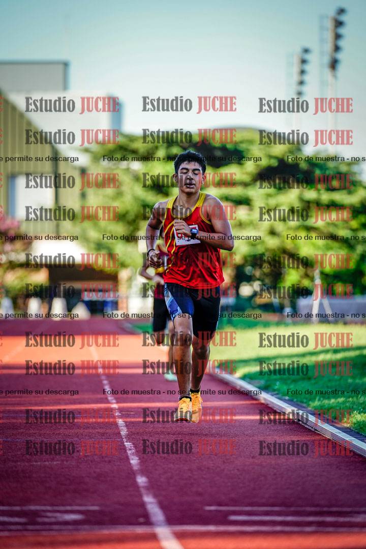 Fotos de los 800 m llanos de varones