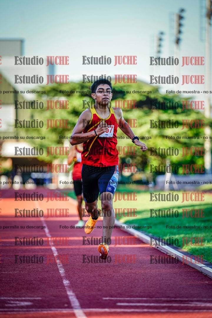 Fotos de los 800 m llanos de varones
