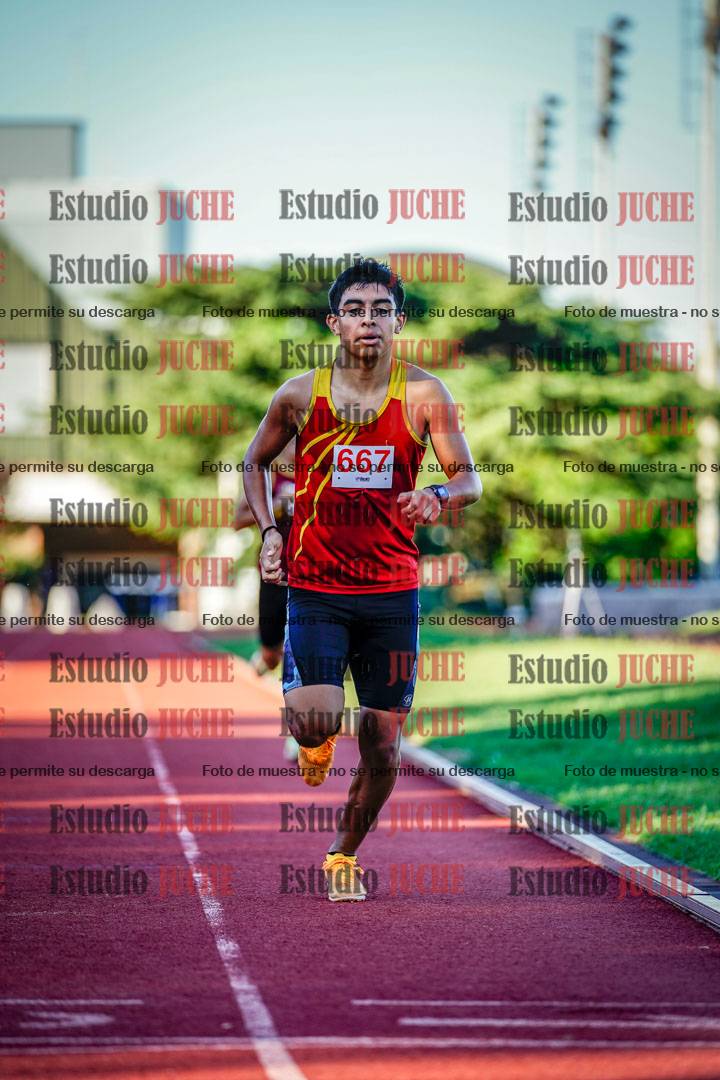Fotos de los 800 m llanos de varones