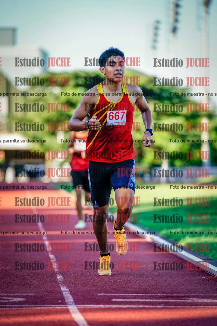 Fotos de los 800 m llanos de varones