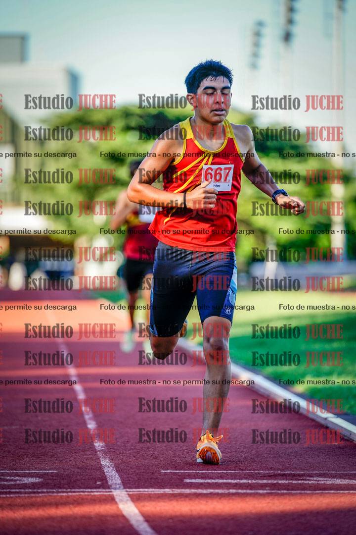 Fotos de los 800 m llanos de varones
