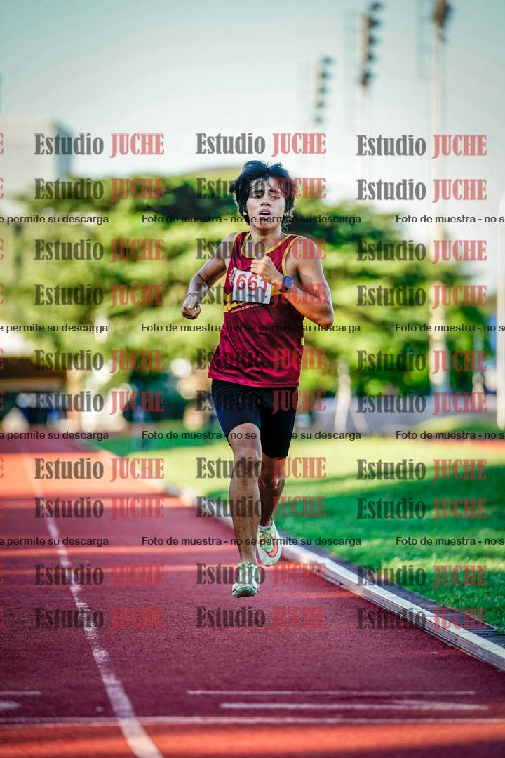 Fotos de los 800 m llanos de varones