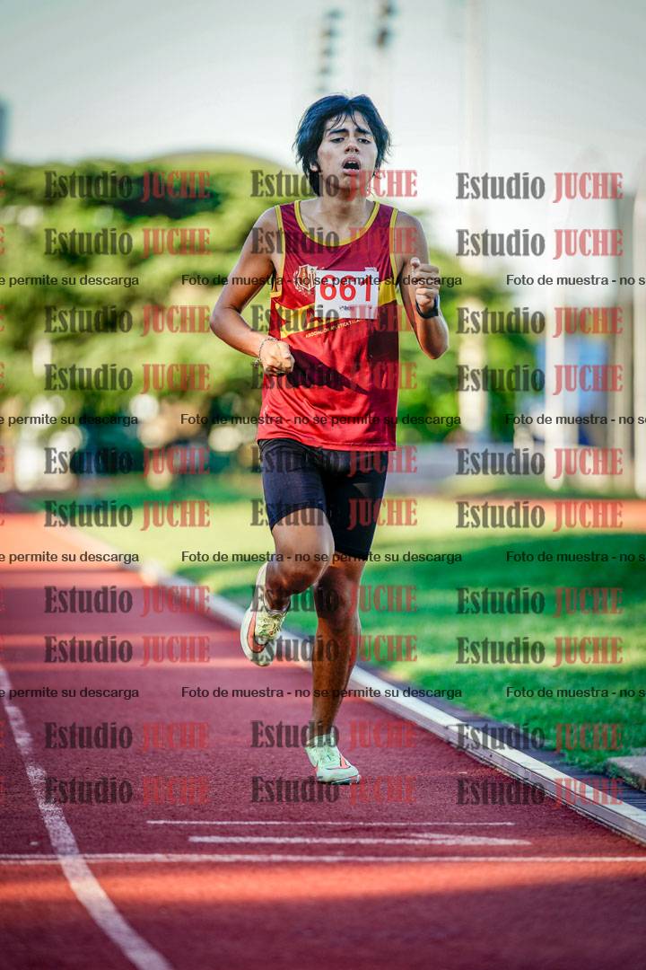 Fotos de los 800 m llanos de varones