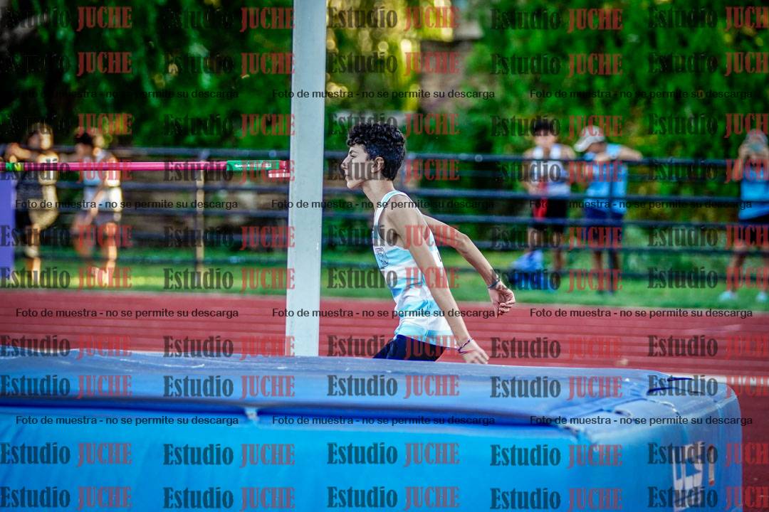 Fotos del salto en alto de varones