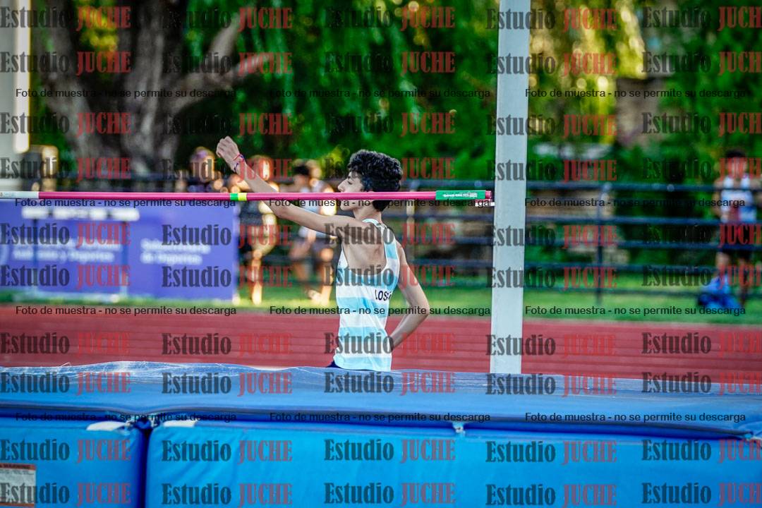 Fotos del salto en alto de varones