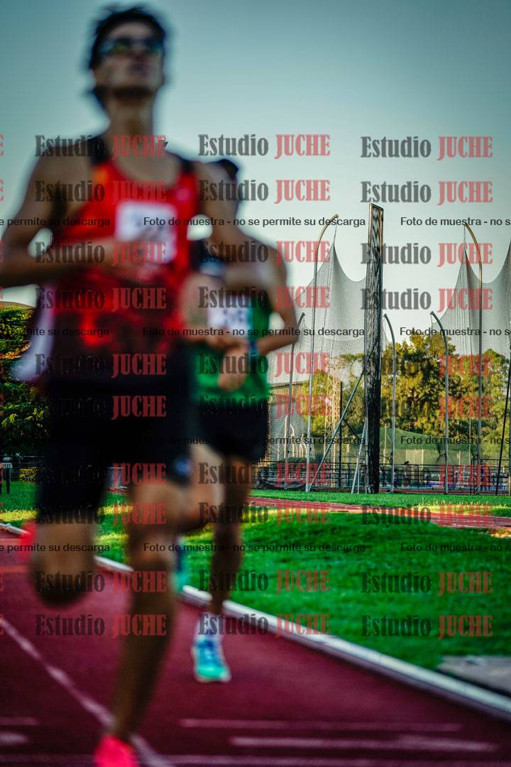 Fotos de los 3000 m llanos de varones