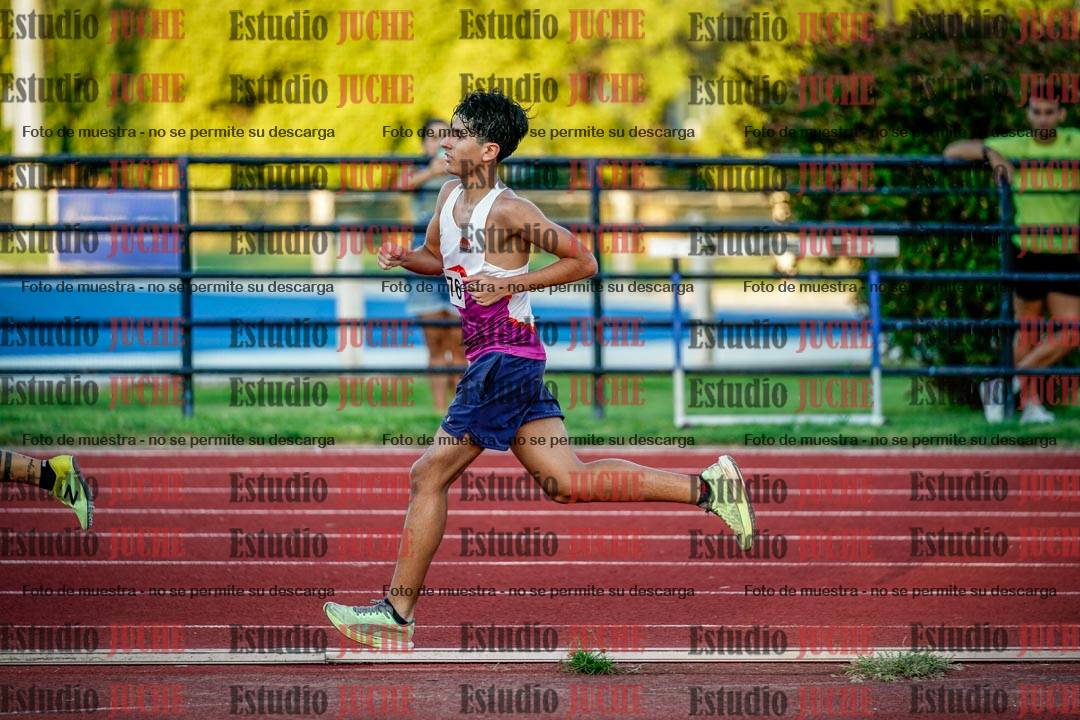 Fotos de los 3000 m llanos de varones