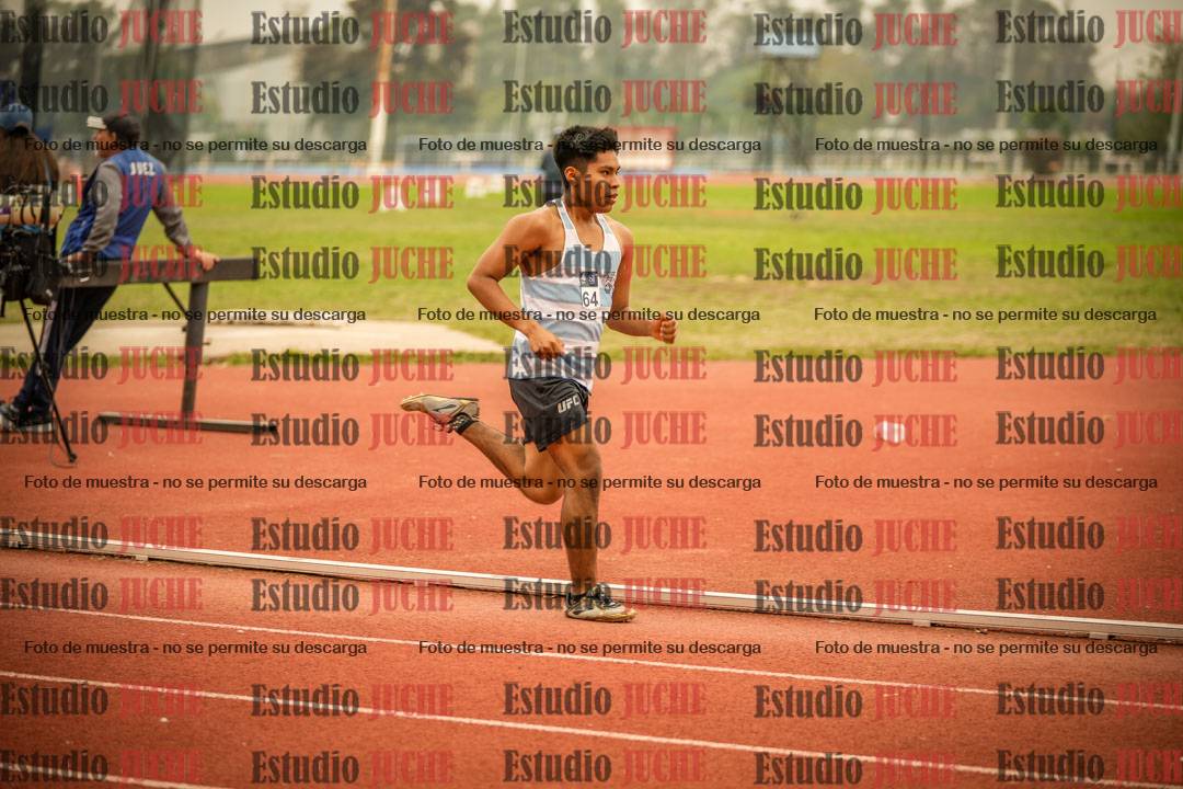Fotos de los 800 m llanos de varones