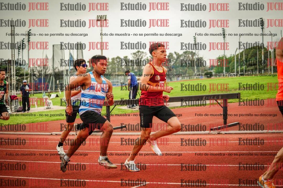 Fotos de los 800 m llanos de varones