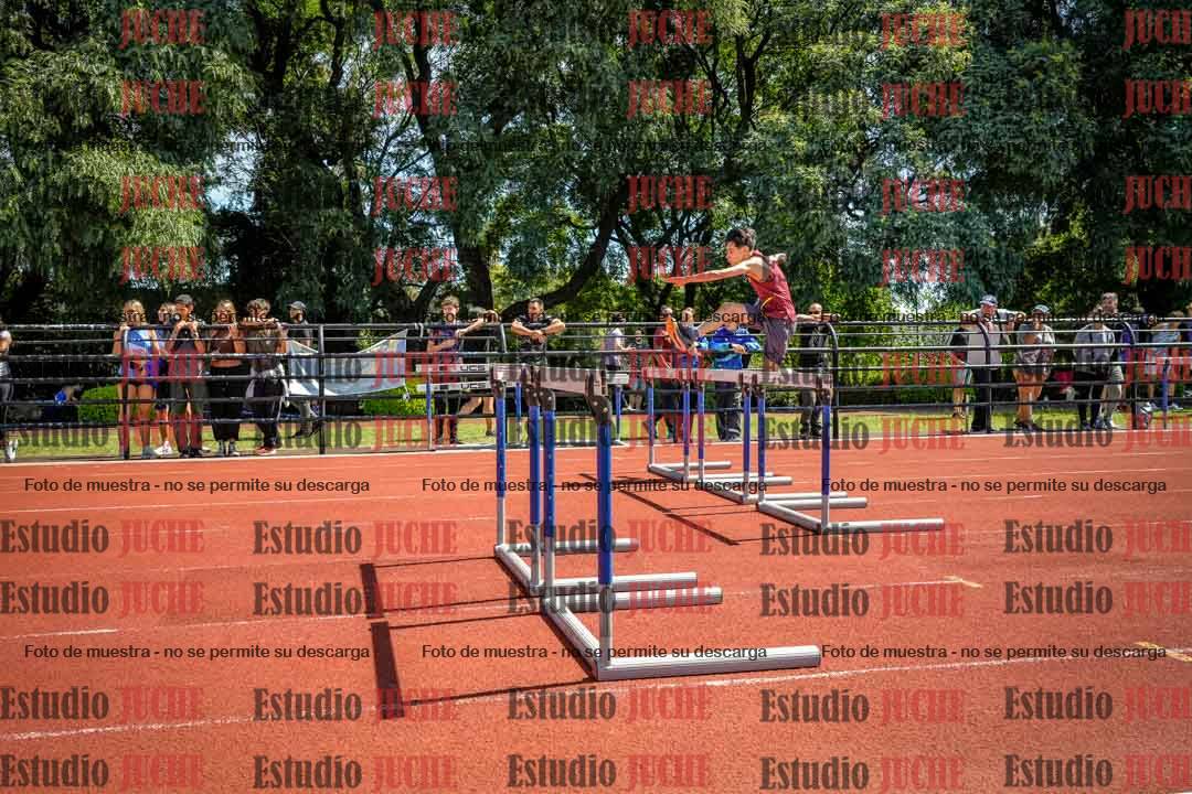 Fotos de los 110 m con vallas de varones