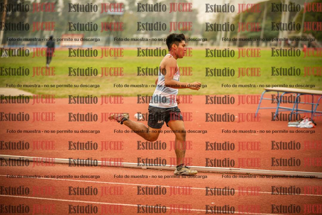Fotos de los 800 m llanos de varones