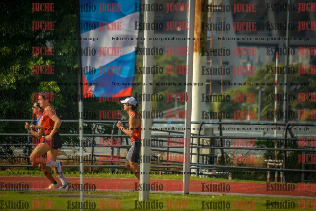 Fotos de los 800 m llanos de varones