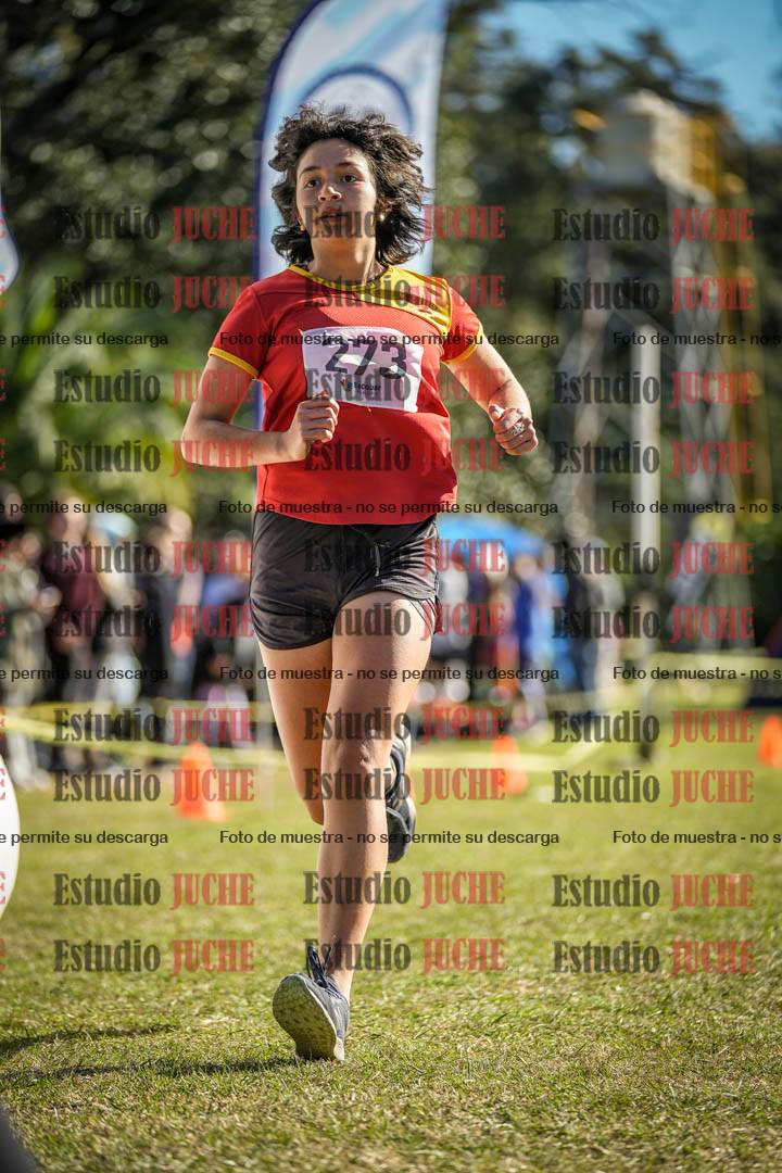 Fotos de la llegada del cross de 2000 m