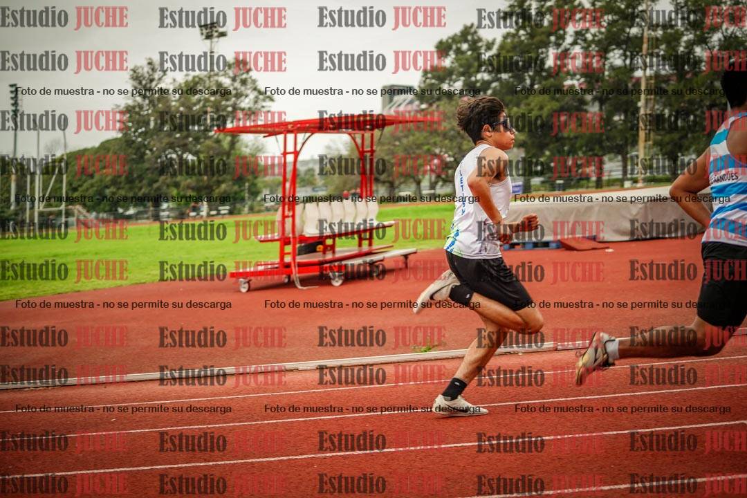 Fotos de los 800 m llanos de varones