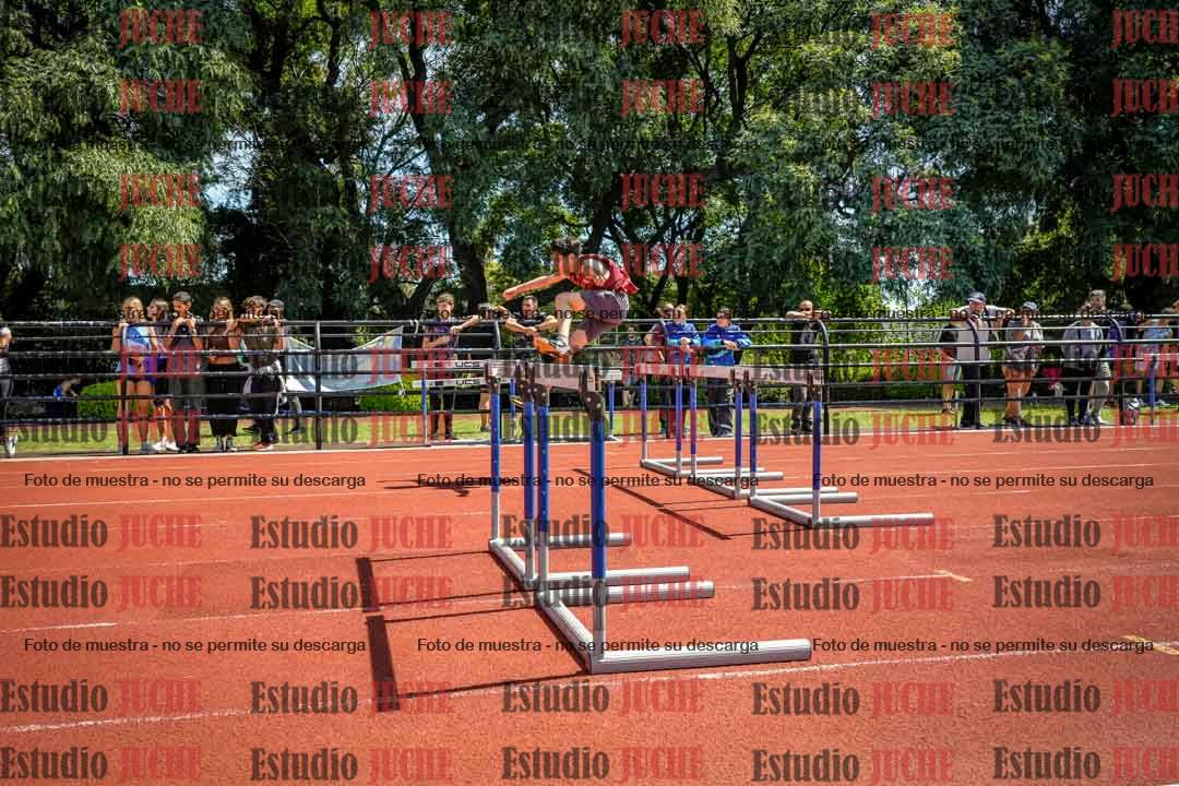 Fotos de los 110 m con vallas de varones