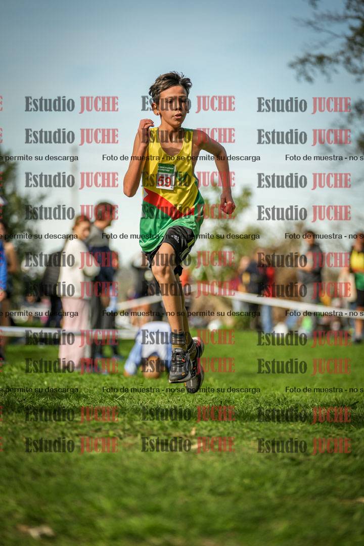 Fotos de la llegada del cross de 1500 m