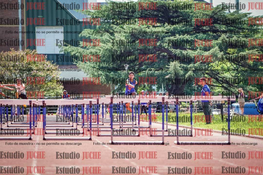 Fotos de los 110 m con vallas de varones