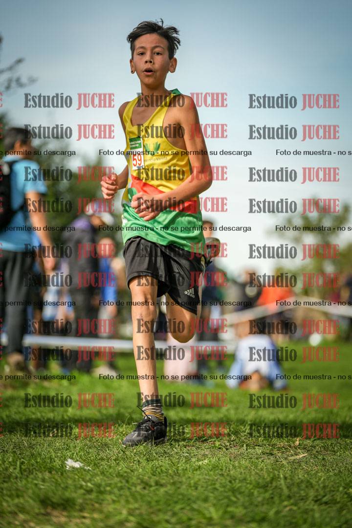 Fotos de la llegada del cross de 1500 m