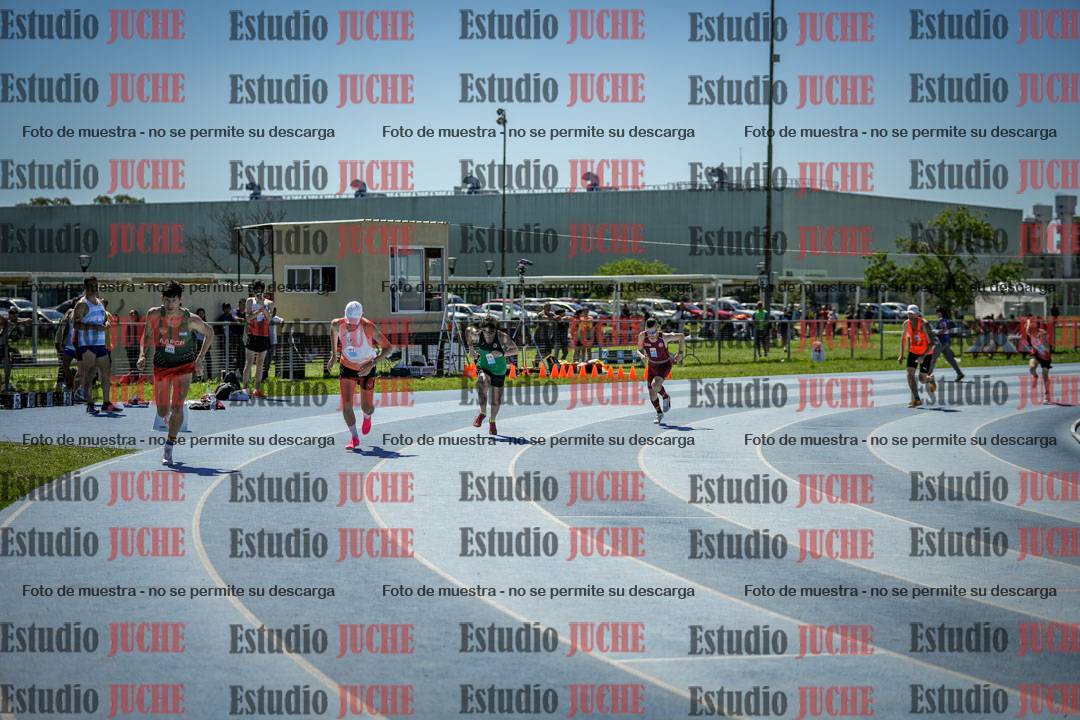 Fotos de los 800 m llanos de varones