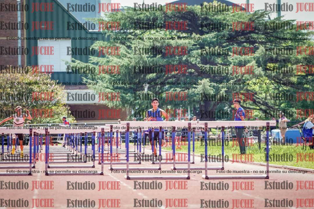 Fotos de los 110 m con vallas de varones