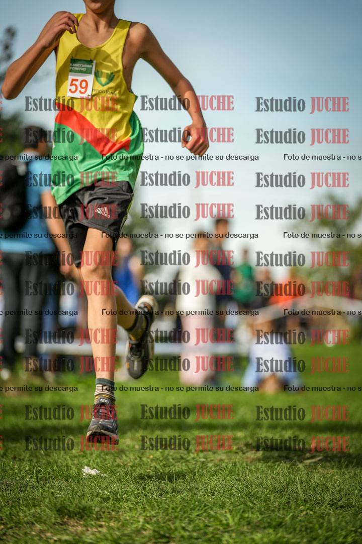 Fotos de la llegada del cross de 1500 m