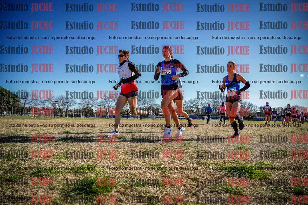 Fotos en el circuito