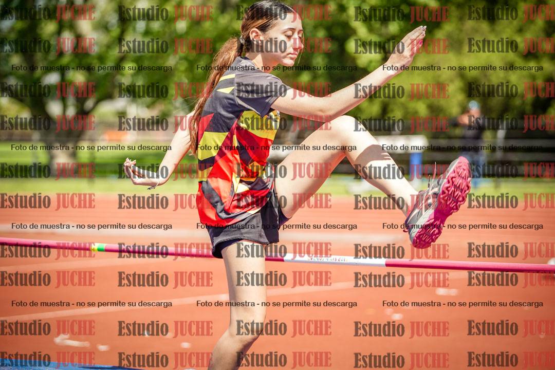 Fotos del salto en alto