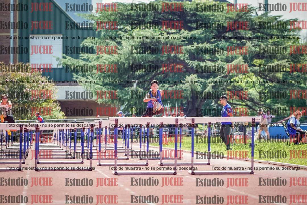 Fotos de los 110 m con vallas de varones