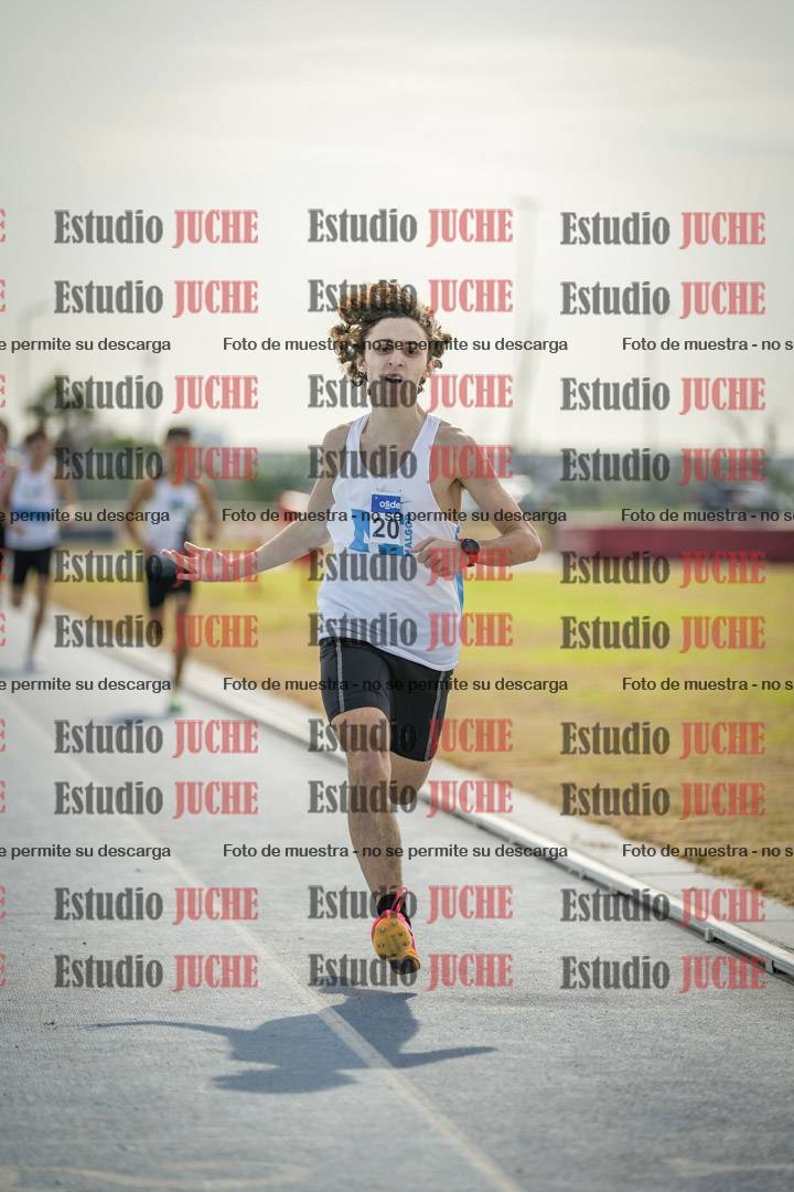 Fotos de los 800 m llanos de varones