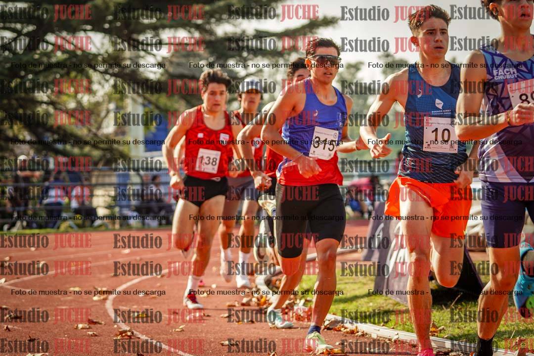 Fotos de los 800 m llanos de varones