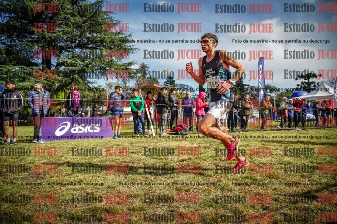 Fotos en el circuito