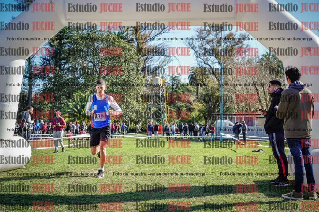 Fotos de la llegada del cross de 6000 m