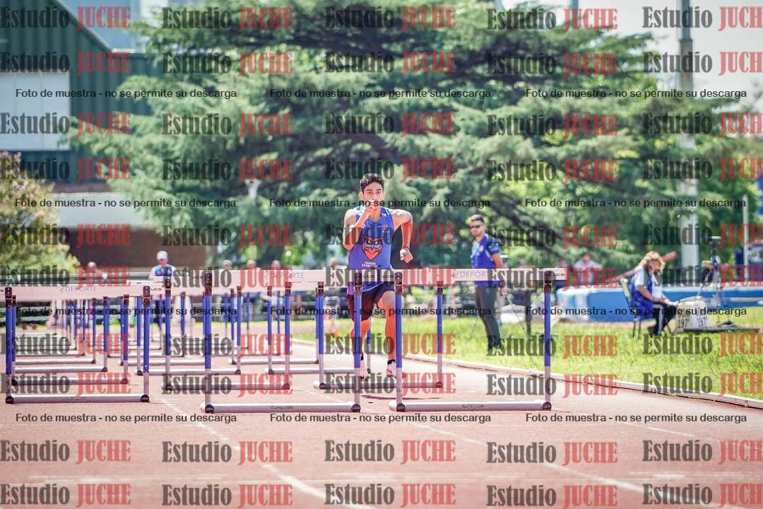 Fotos de los 110 m con vallas de varones