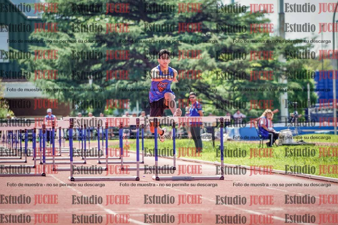 Fotos de los 110 m con vallas de varones