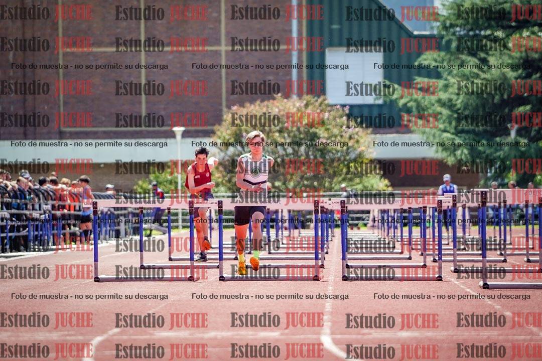 Fotos de los 110 m con vallas de varones