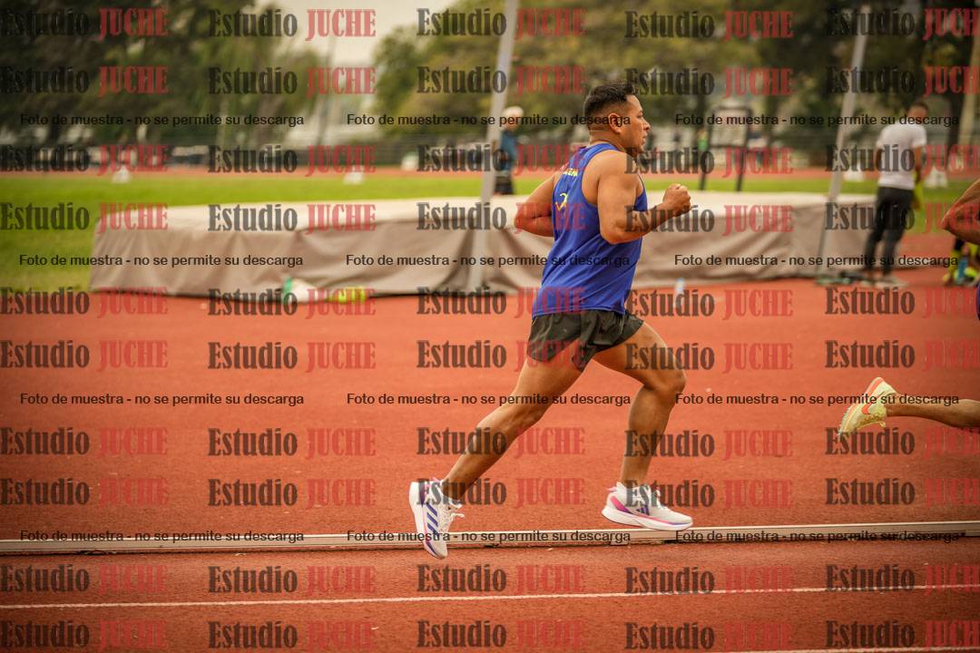 Fotos de los 800 m llanos de varones