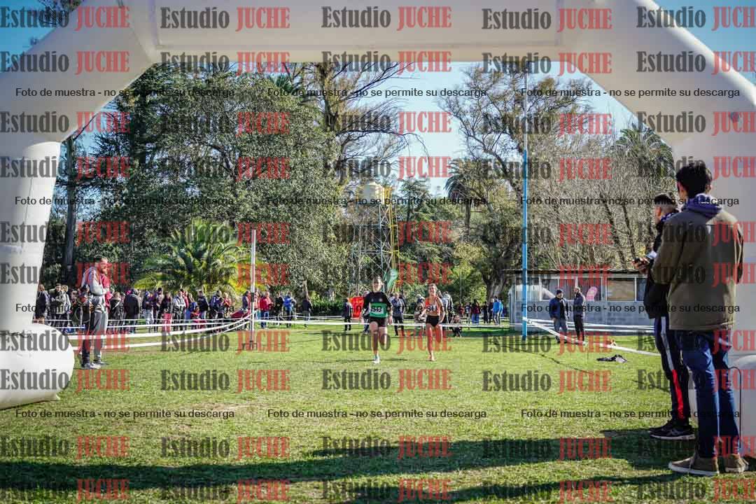 Fotos de la llegada del cross de 6000 m