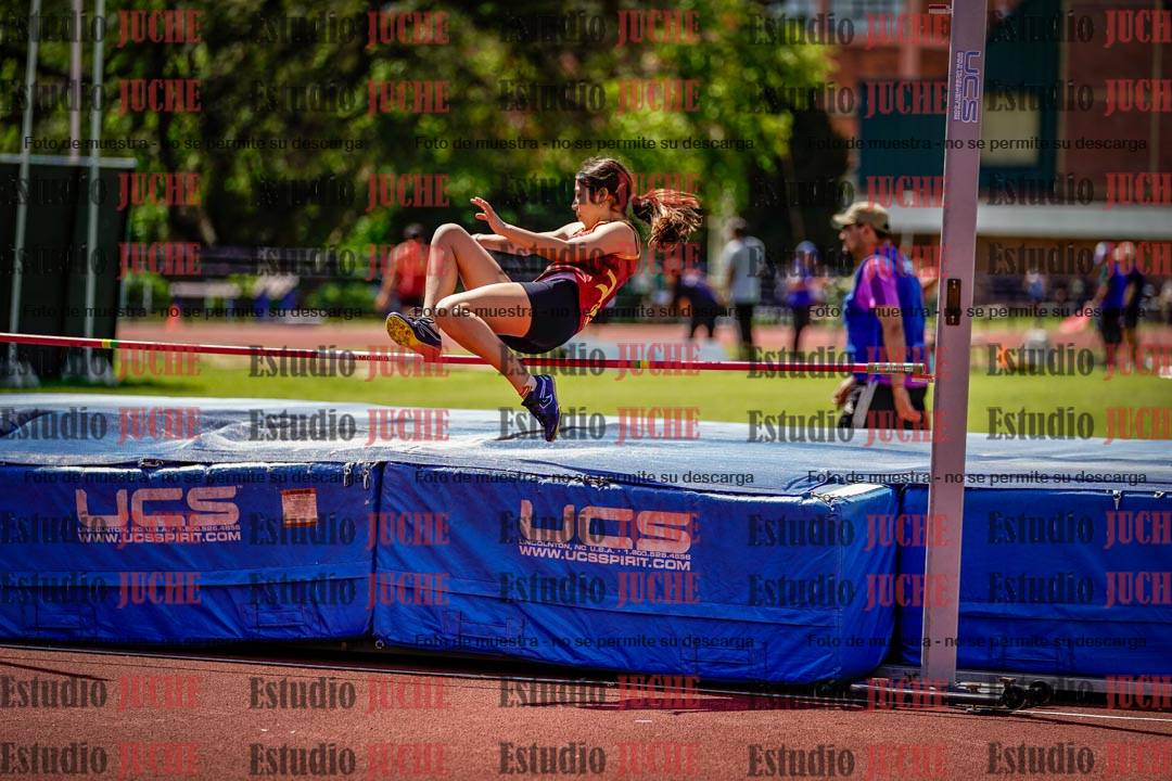 Fotos del salto en alto
