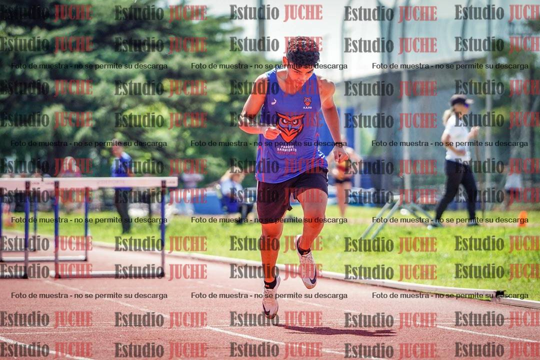 Fotos de los 110 m con vallas de varones