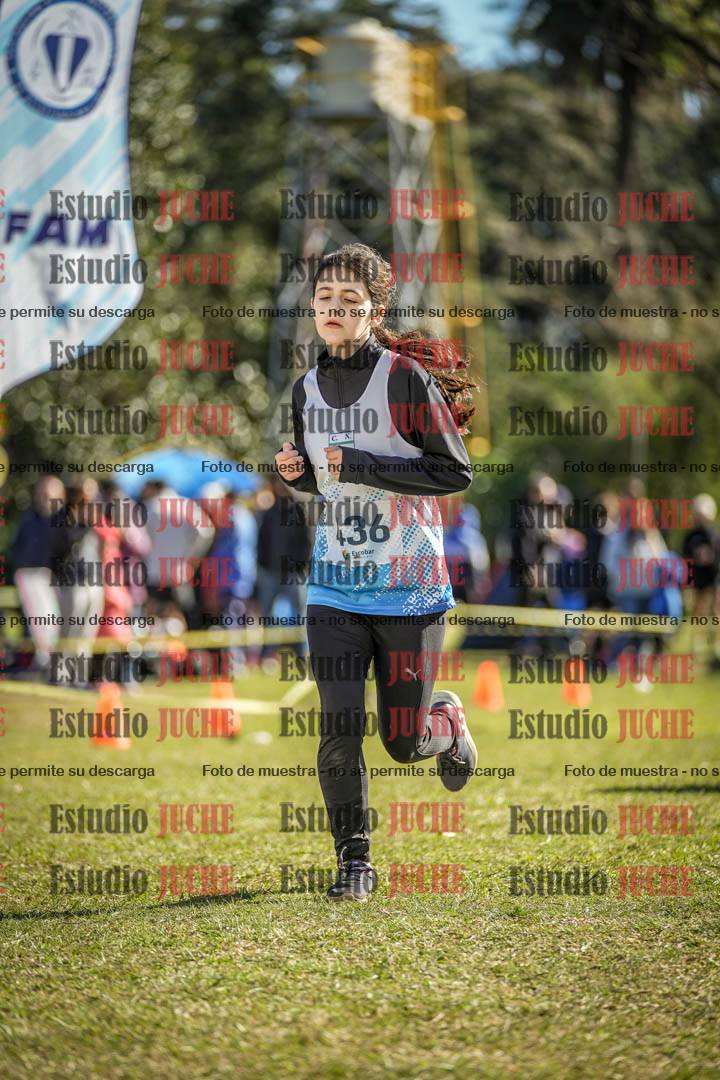 Fotos de la llegada del cross de 2000 m