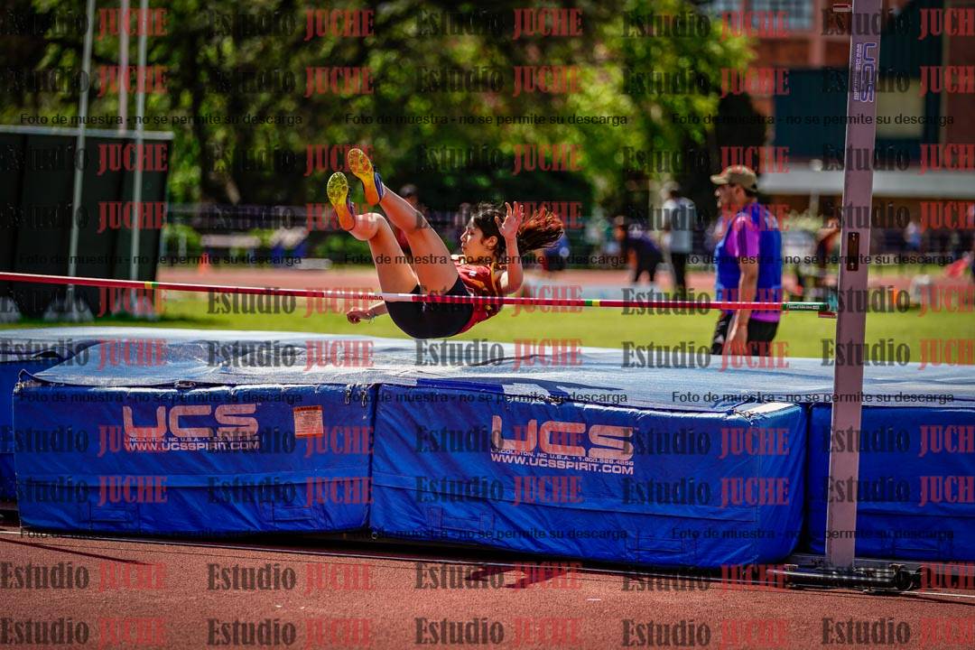 Fotos del salto en alto